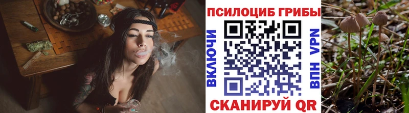 Галлюциногенные грибы Magic Shrooms Нефтекамск